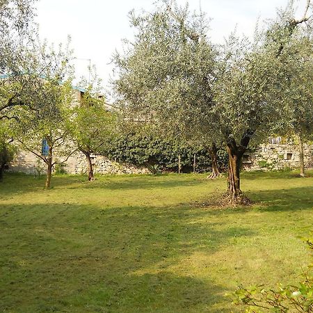 Albergo Ristorante Aquila ซุลซาโน ภายนอก รูปภาพ